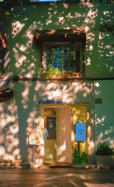  树影斑驳，阳光正好 … 