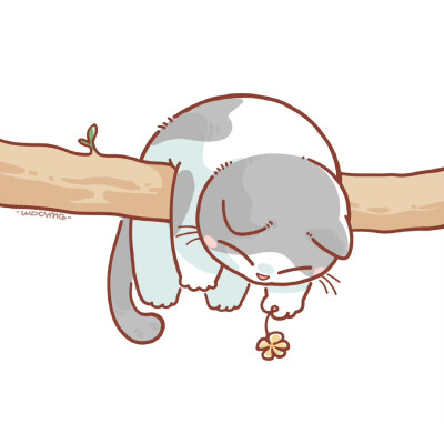 猫咪头像