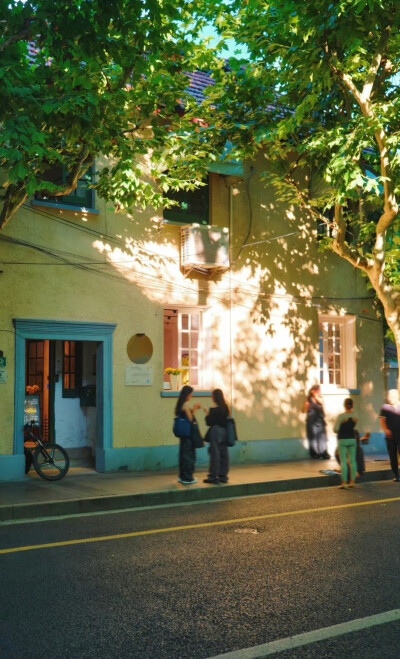  树影斑驳，阳光正好 … 