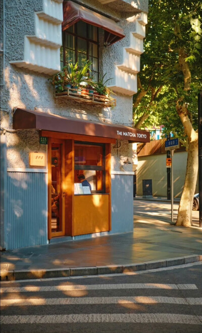  树影斑驳，阳光正好 … 