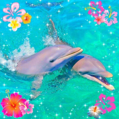 TropicalCore