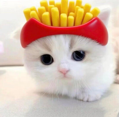 /