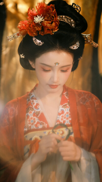 林小宅