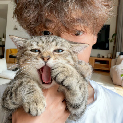 教司
