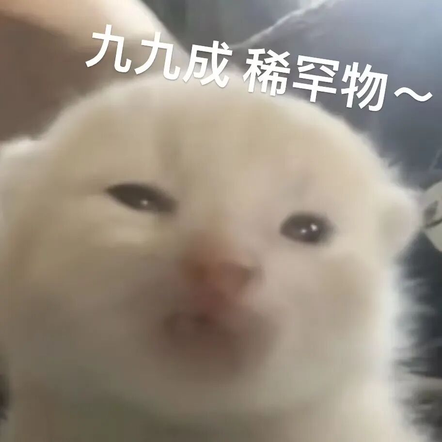 猫猫表情包