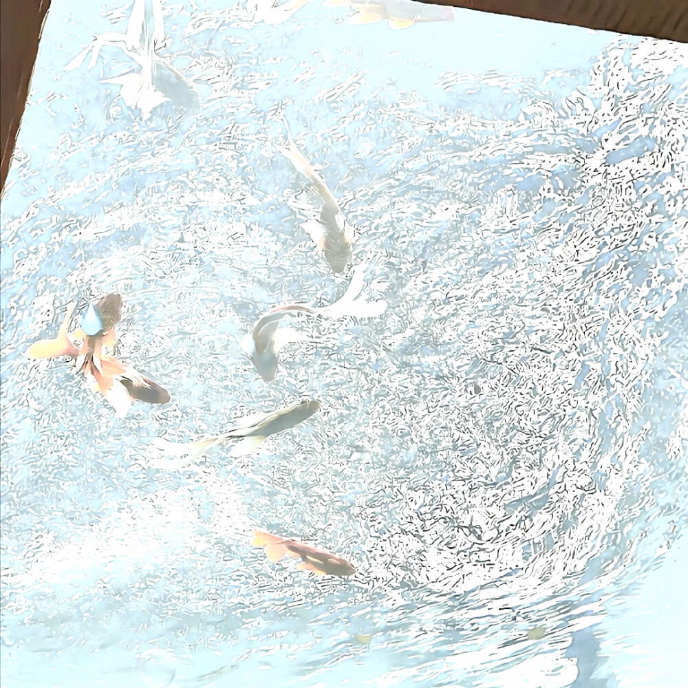 ⊹⁺꧞涙が目にあふれて海になる*ﾟ