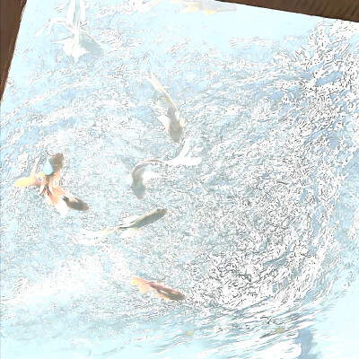 ⊹⁺꧞涙が目にあふれて海になる*ﾟ