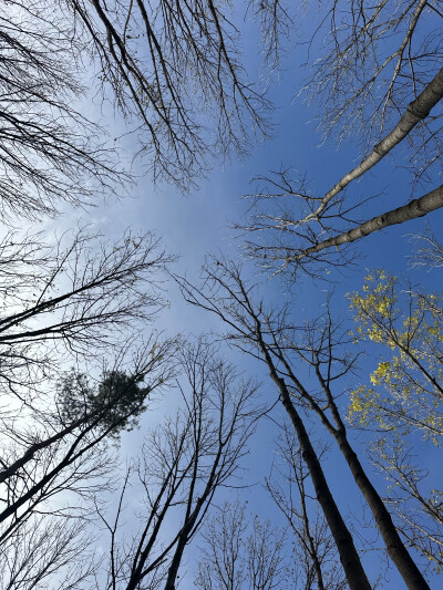 10月11日 夏天的午后，我躺在地上问妈妈，为什么那么多自私的人活得也挺好的
这世界有很多伟大的人，我妈妈是其中一个。