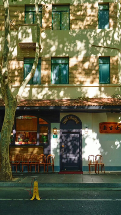  树影斑驳，阳光正好 … 