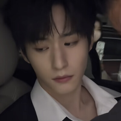 这辈子败给冷脸萌了