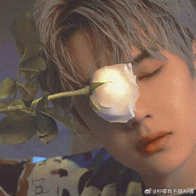 博君一肖 情头