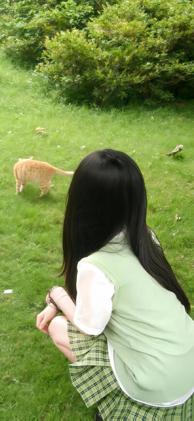 手机壁纸