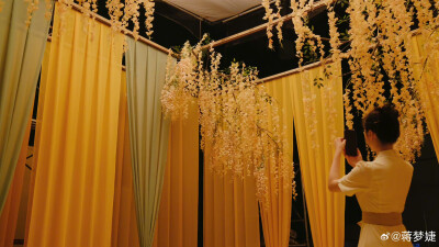 了不起的中国颜色/松花黄/蒋梦婕