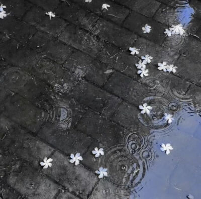 此女是妈妈 金冬天