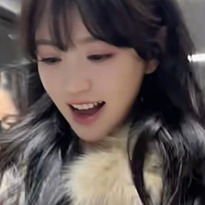 完全是猫猫吧