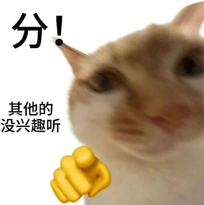 表情包·图源微博