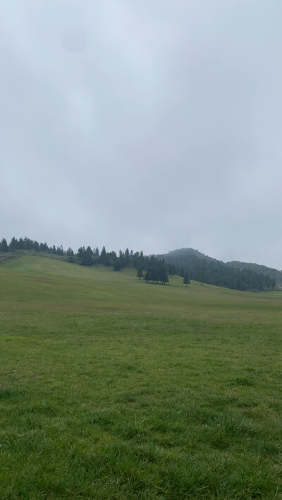 23:06
停！又开始困惑于外界的人和事了，臆想太多只会睡不着。睡！