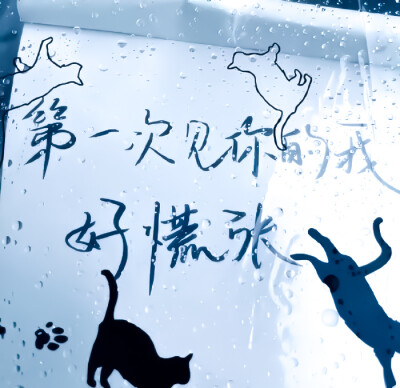 天气预报说今晚有雨，我都能听成今晚有你