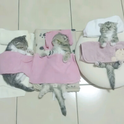 [=' ^ '=]