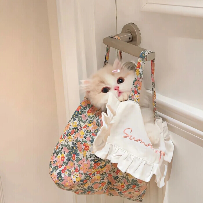 键盘图♡背景图