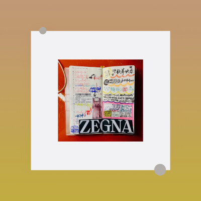 好きです