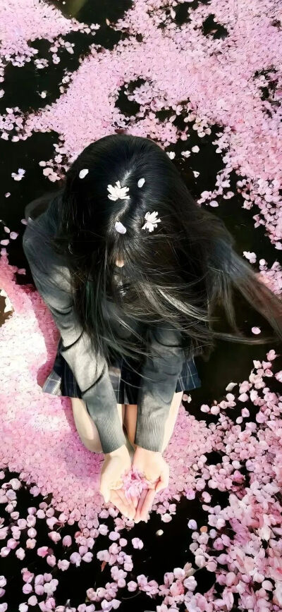 壁纸