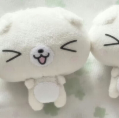 (>﹏<)