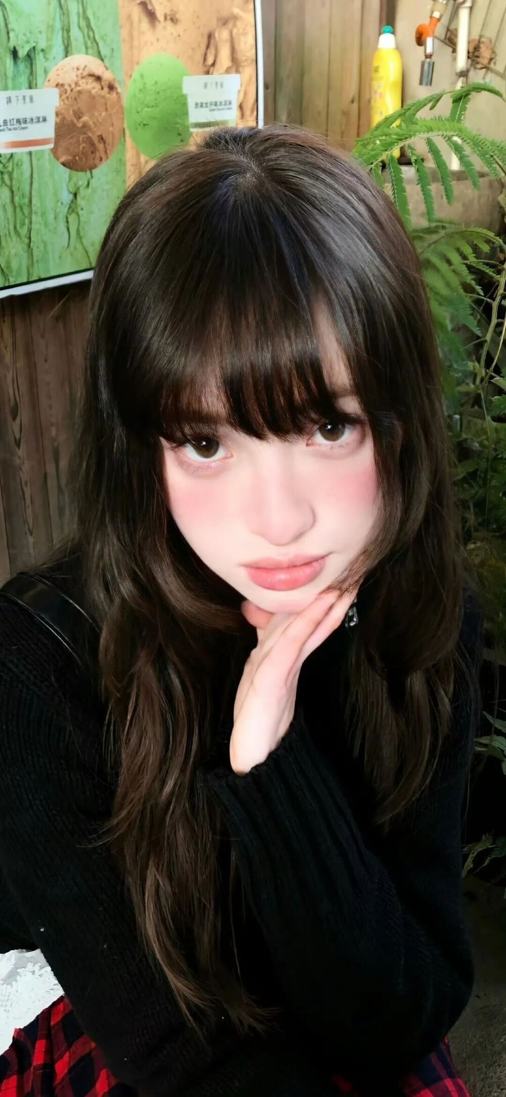 壁纸