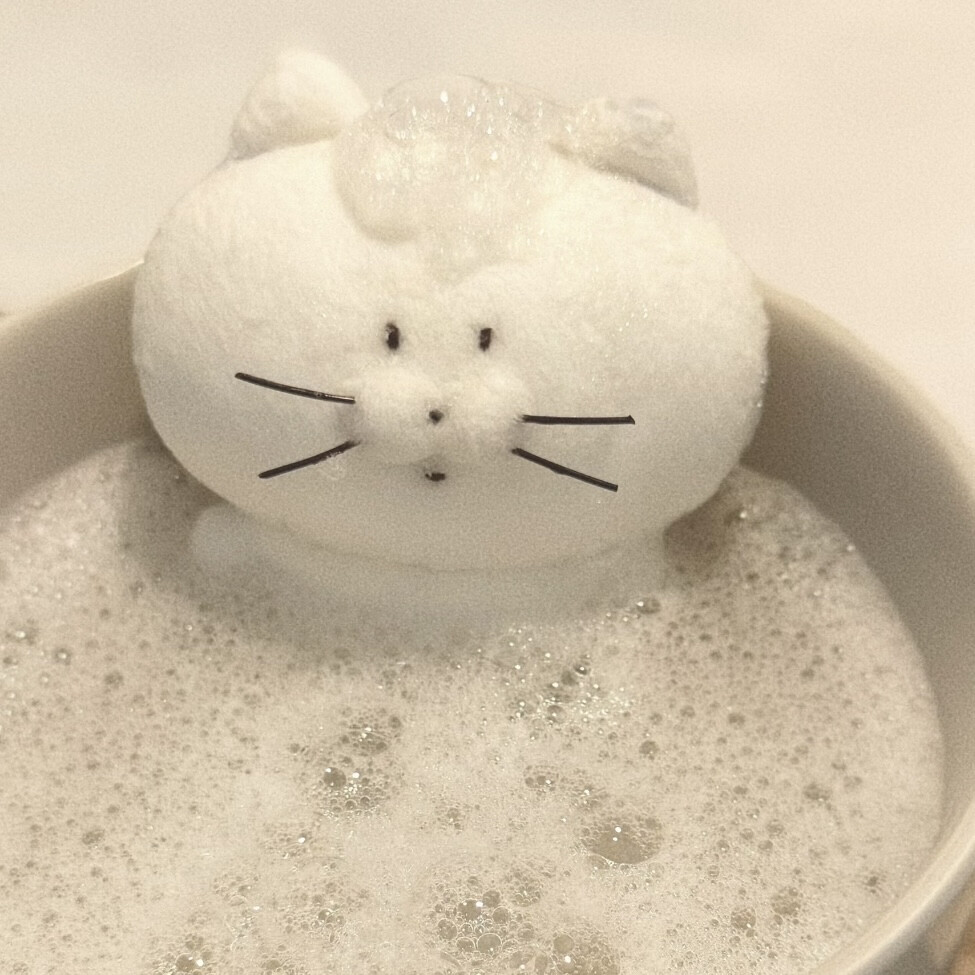 (>﹏<)