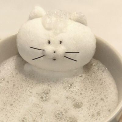 (>﹏<)
