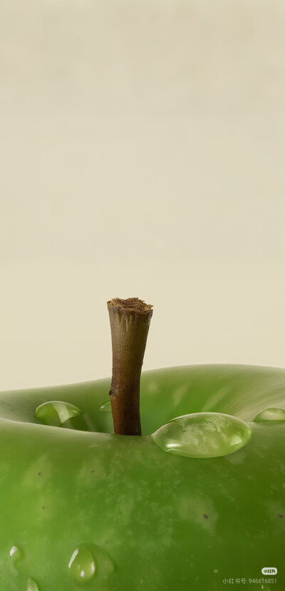 壁纸