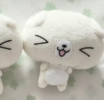 (>﹏<)