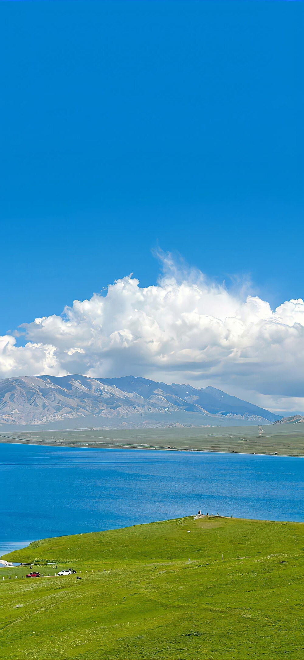 壁纸·图源微博