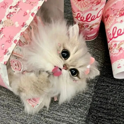 键盘图♡背景图