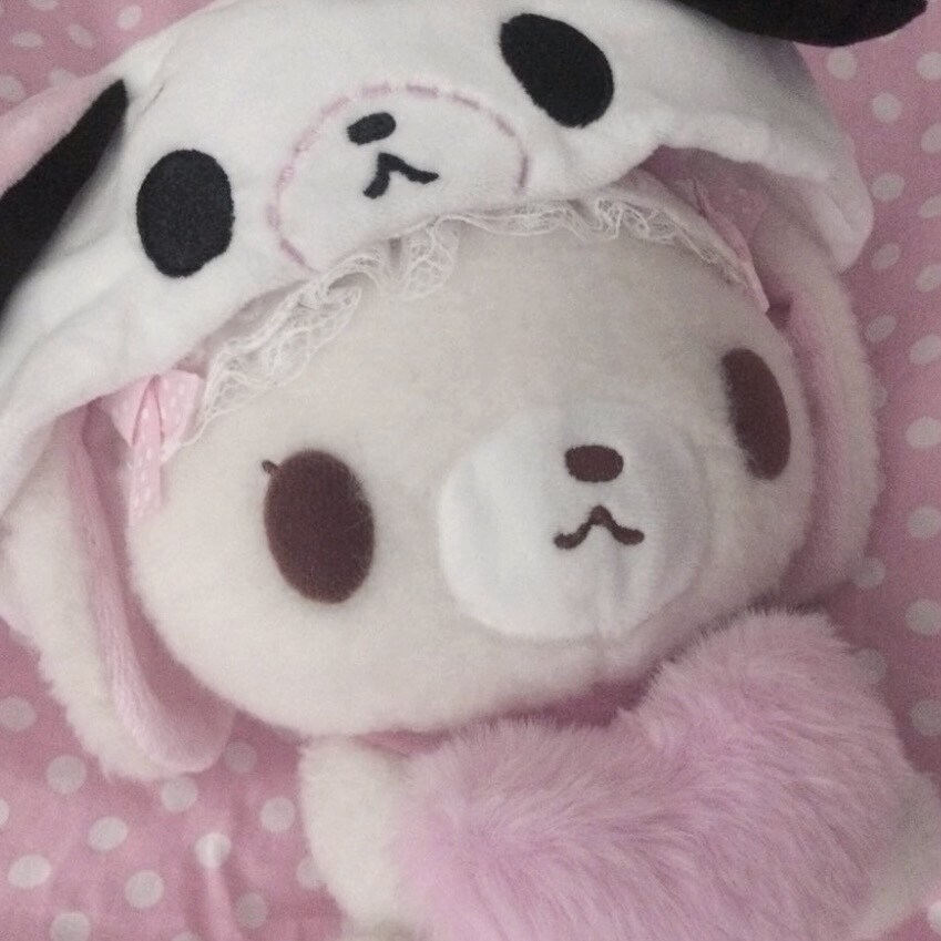 (>﹏<)