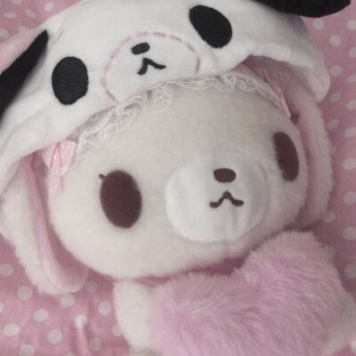 (>﹏<)