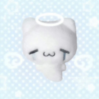 (>﹏<)