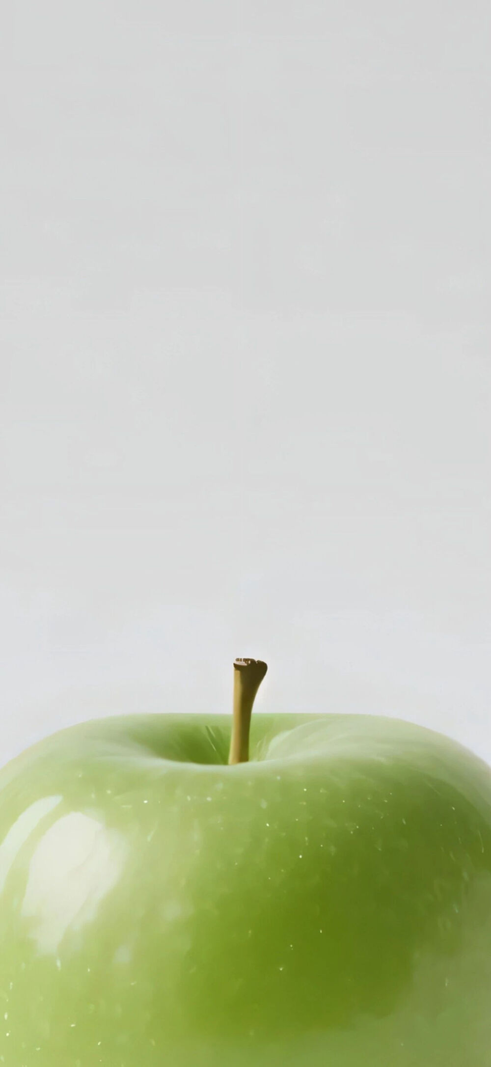 壁纸