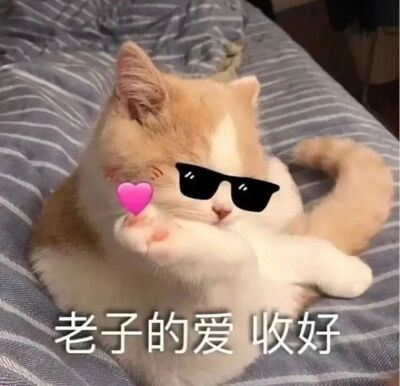 猫猫表情包