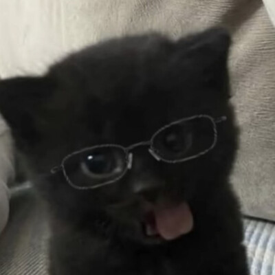 (>﹏<)