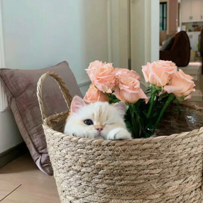 键盘图♡背景图
