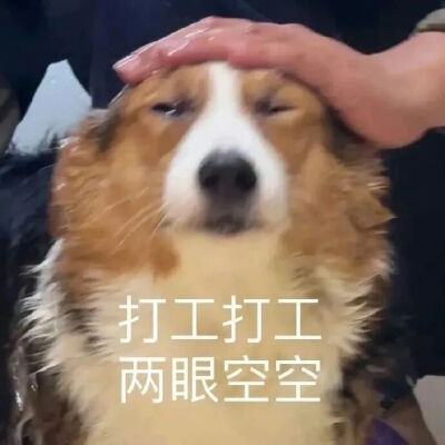 表情包