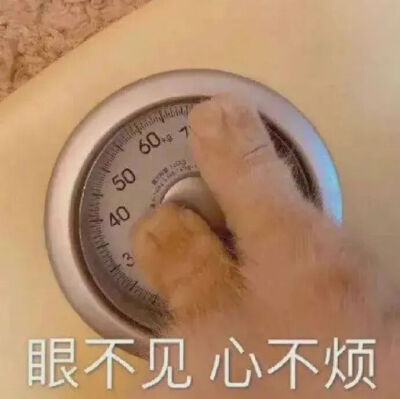 猫猫表情包