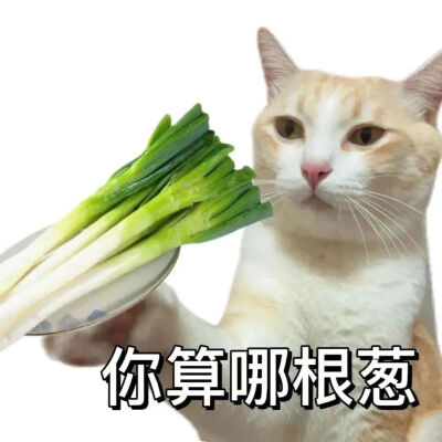 表情包