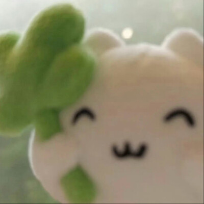 (>﹏<)