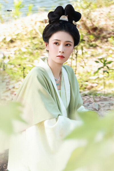 白鹿