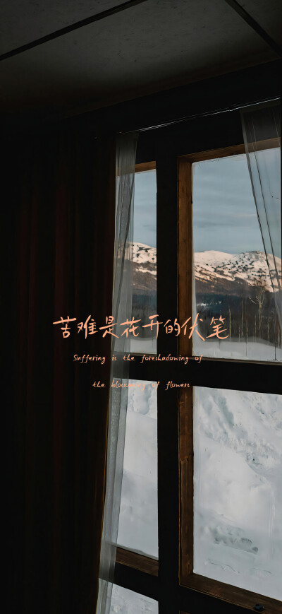 壁纸