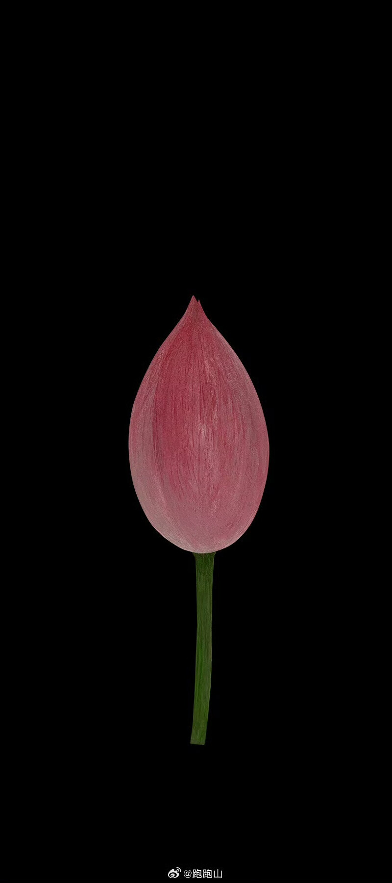 壁纸