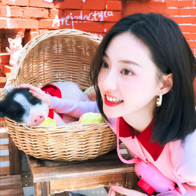 胡连馨