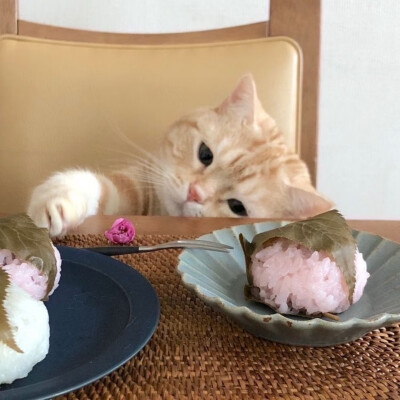 背景图